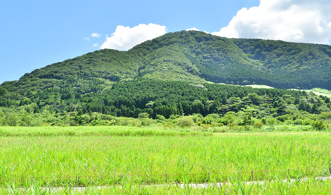 公式 川涌の湯 マウントビュー箱根 箱根仙石原でにごり湯の貸切露天風呂がある宿
